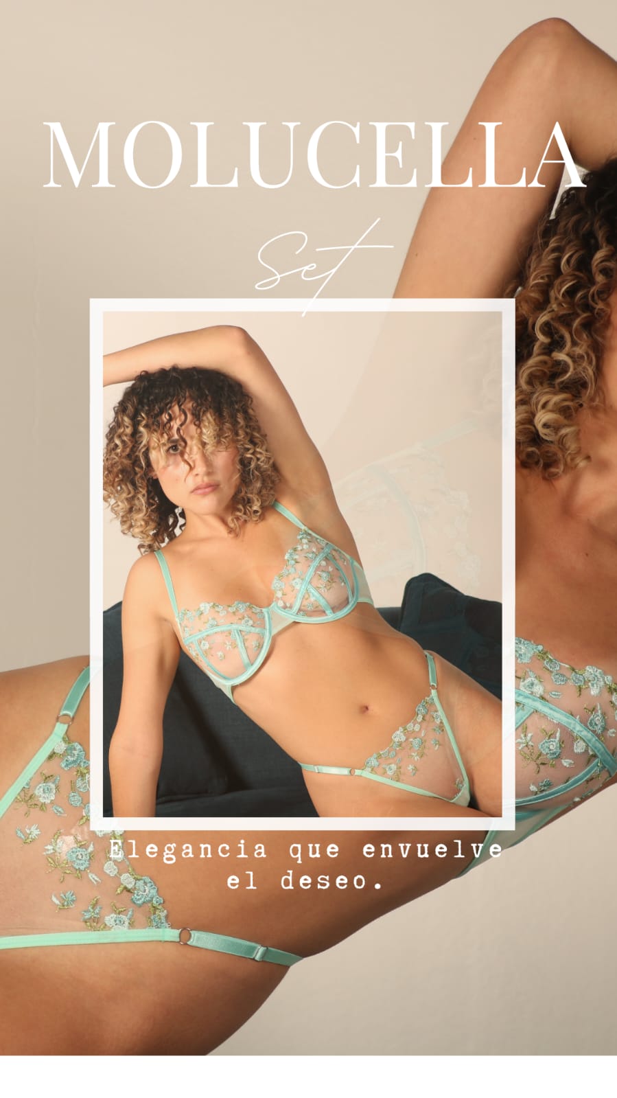 Set Molucella