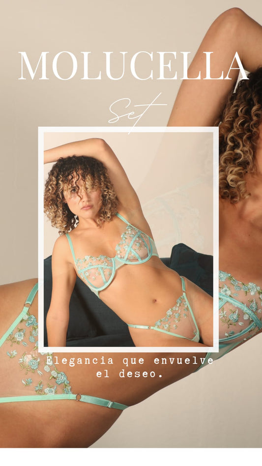Set Molucella