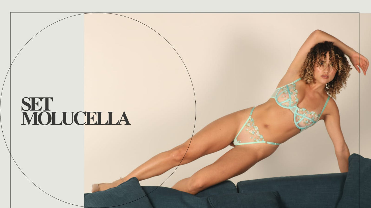 Set Molucella